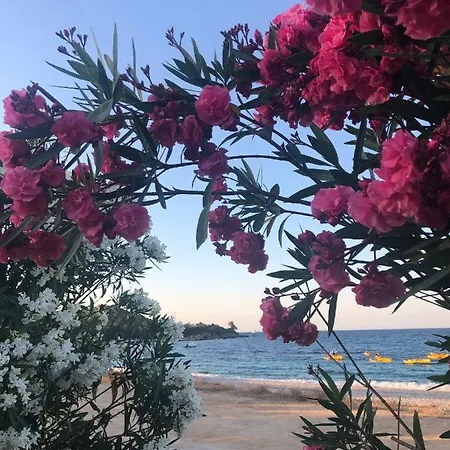 Apartamento Joly- Vue Mer- Favone
